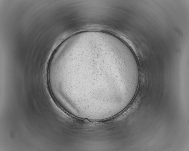 X0000110961475200907101317