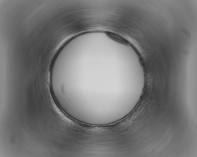 X0000110961476200907101317