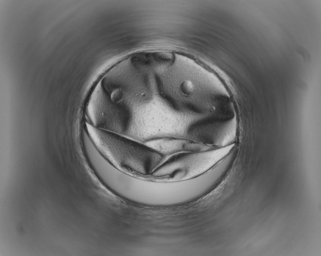 X0000110961477200907101317