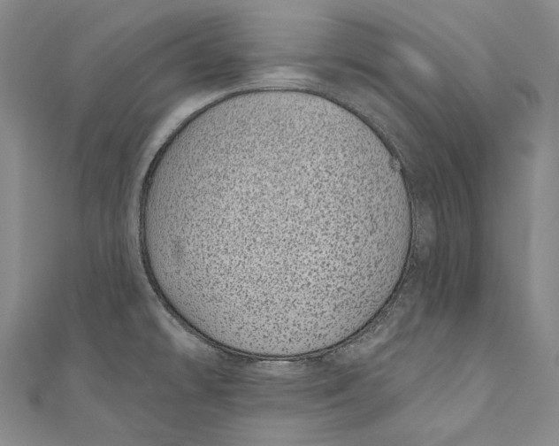 X0000110961478200907101317