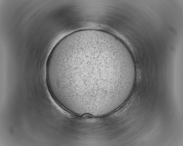 X0000110961479200907101317