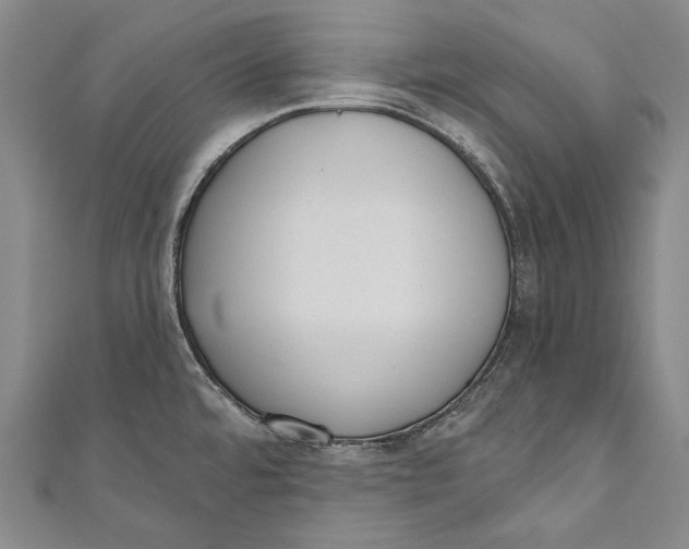 X0000110961480200907101317