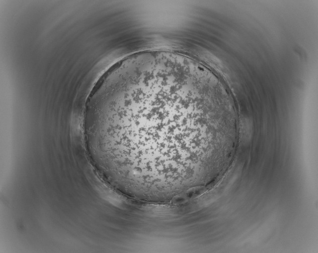 X0000110961481200907101317