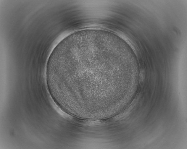 X0000110961482200907101317