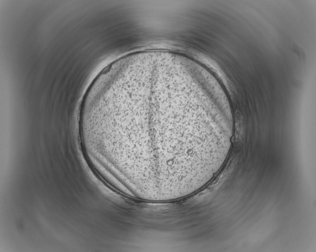 X0000110961483200907101317