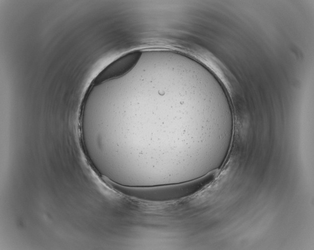 X0000110961485200907101317