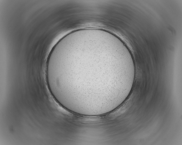 X0000110961486200907101317