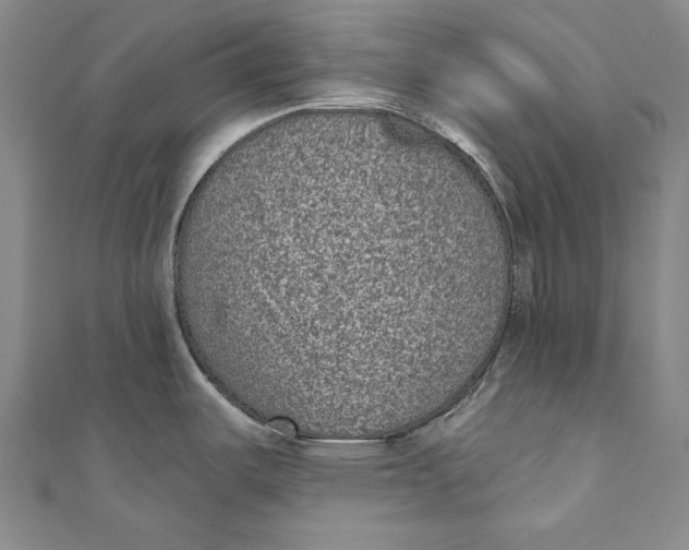 X0000110961487200907101317