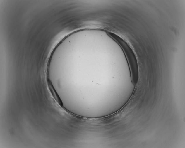 X0000110961488200907101317