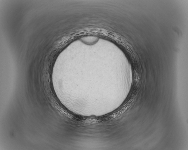 X0000110961489200907101316