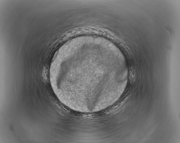 X0000110961490200907101316