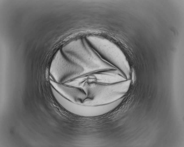 X0000110961492200907101317