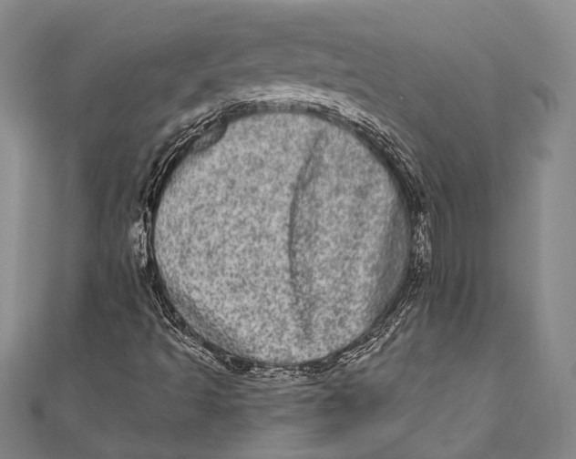 X0000110961493200907101317