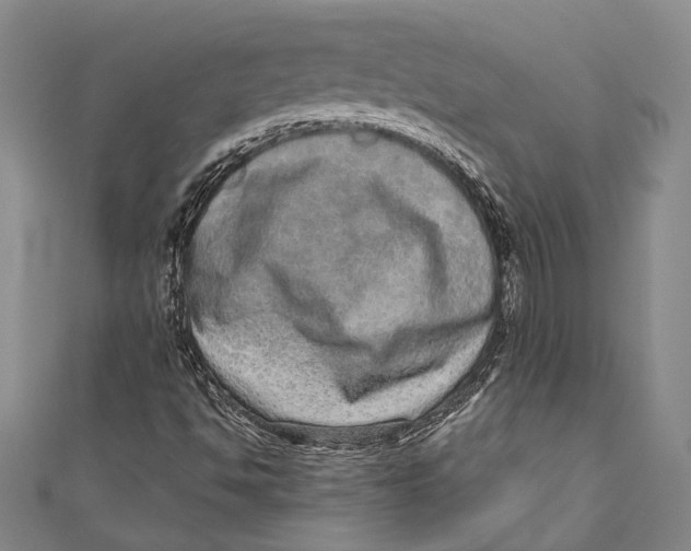 X0000110961494200907101317