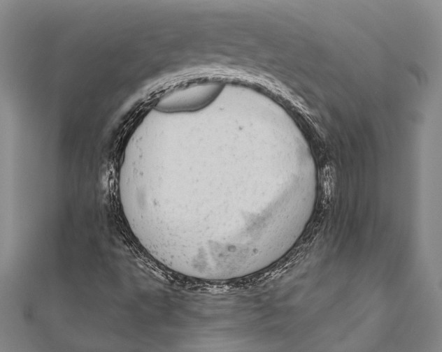 X0000110961495200907101317