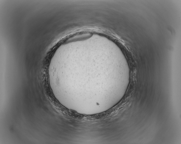 X0000110961496200907101317