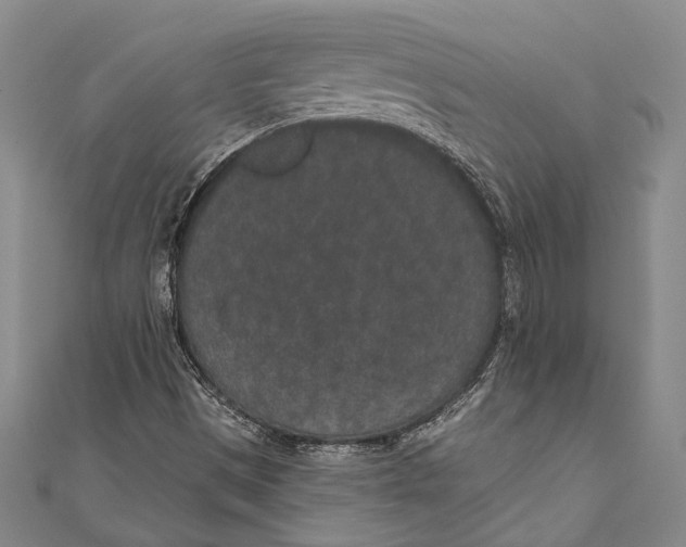 X0000110961497200907101317