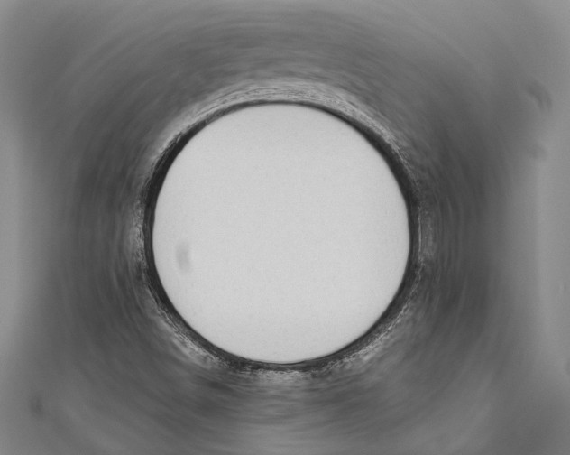 X0000110961498200907101317