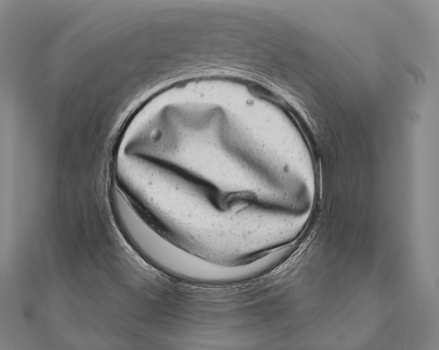 X0000110961500200907101317