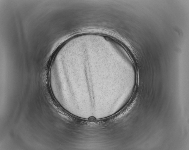 X0000110961501200907101317