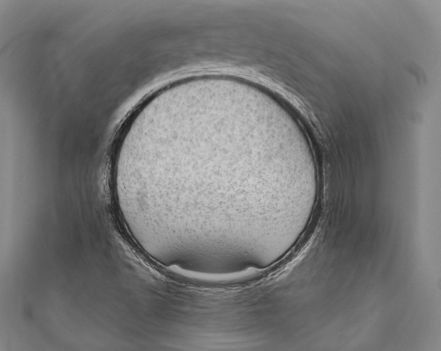 X0000110961502200907101317