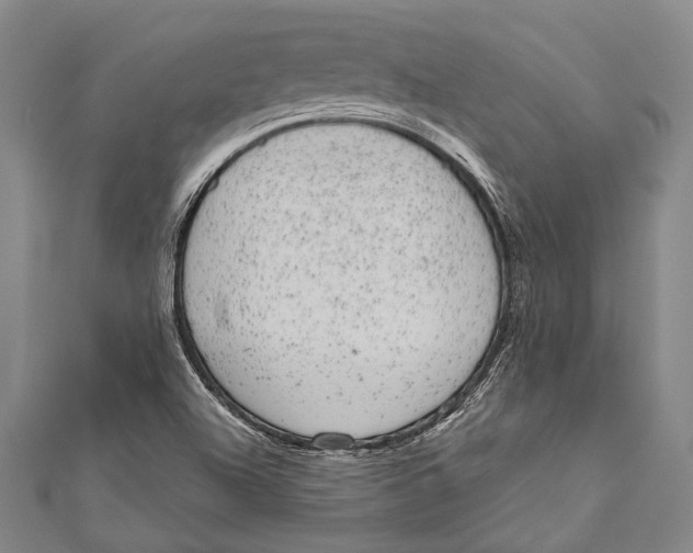 X0000110961504200907101317