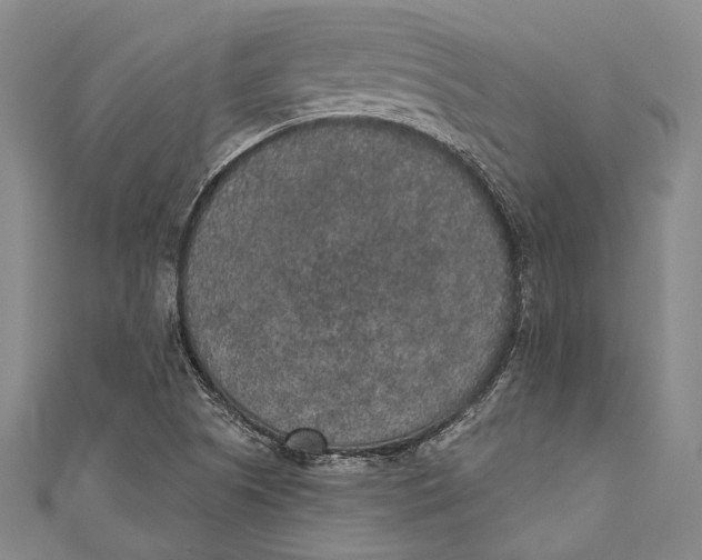 X0000110961505200907101317