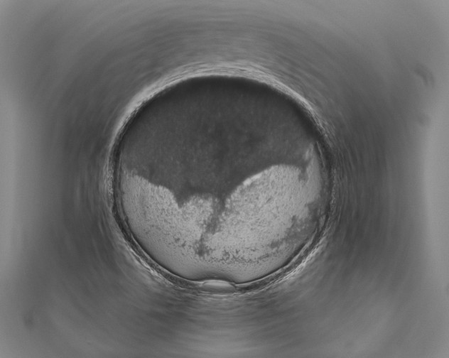 X0000110961506200907101317