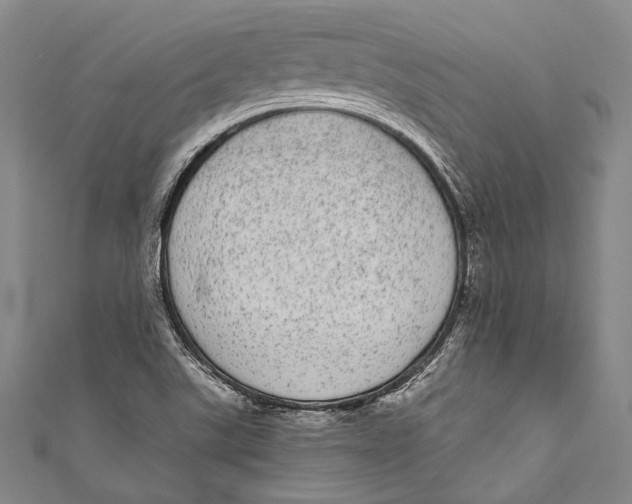 X0000110961507200907101317