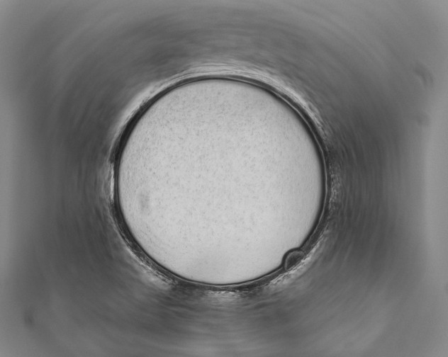 X0000110961509200907101317