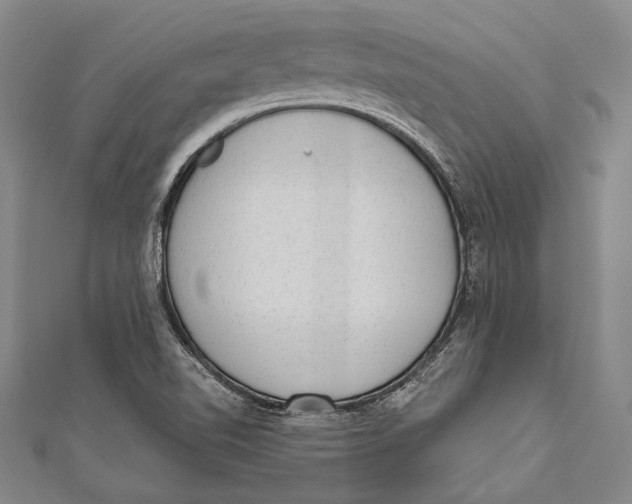 X0000110961510200907101317