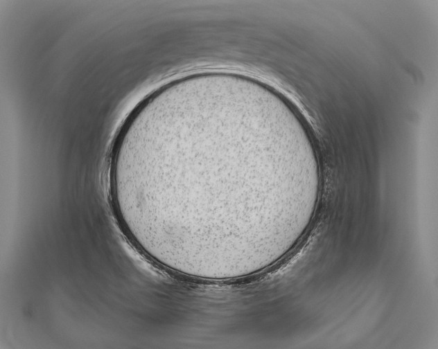 X0000110961511200907101317