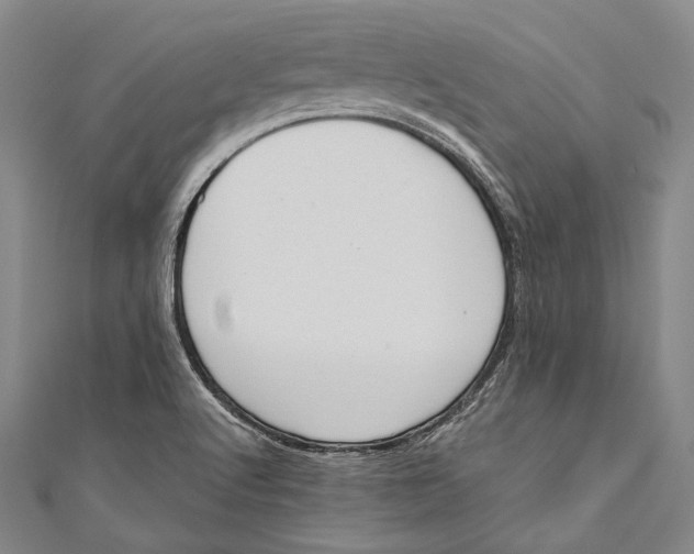 X0000110961512200907101317