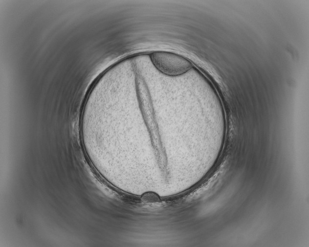 X0000110961513200907101317