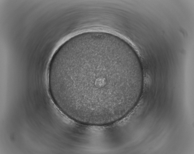 X0000110961514200907101317