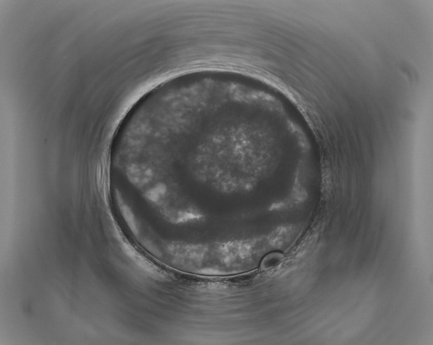 X0000110961515200907101317