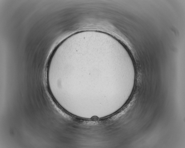 X0000110961517200907101317