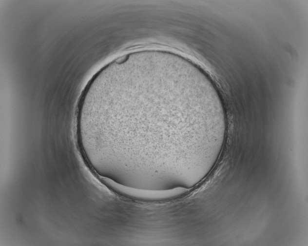 X0000110961518200907101317