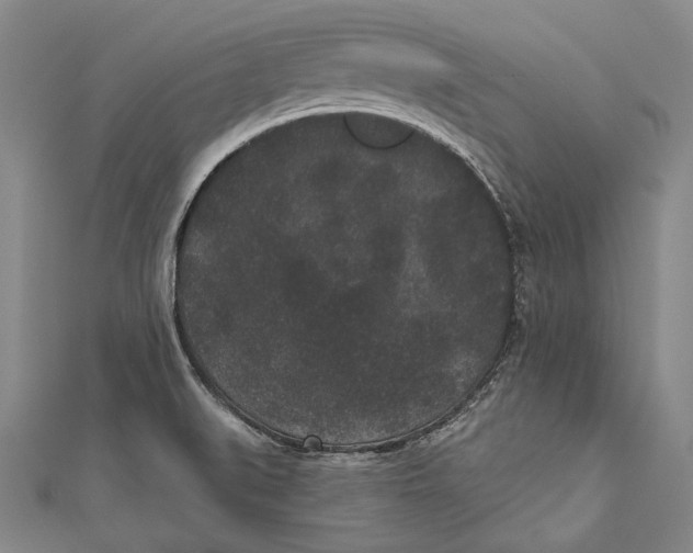 X0000110961519200907101317