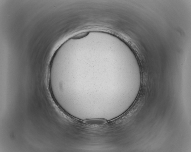 X0000110961520200907101317