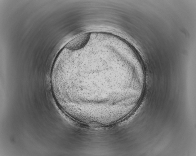 X0000110961521200907101317