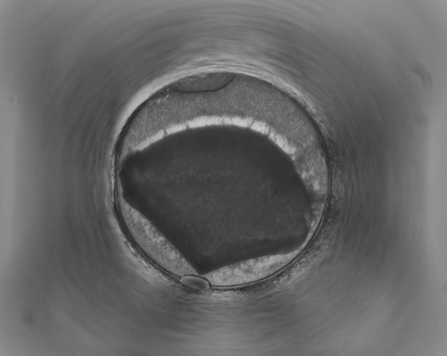 X0000110961522200907101317