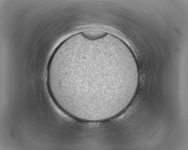 X0000110961523200907101317