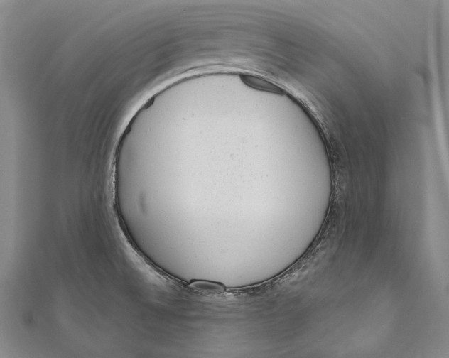 X0000110961524200907101317