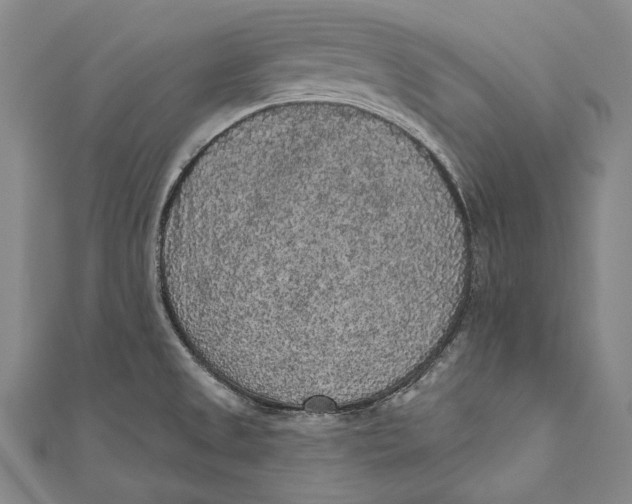 X0000110961525200907101317