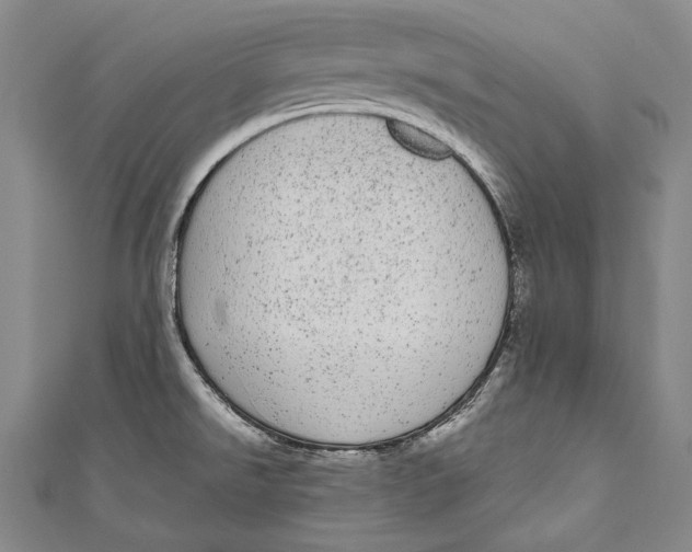 X0000110961526200907101317