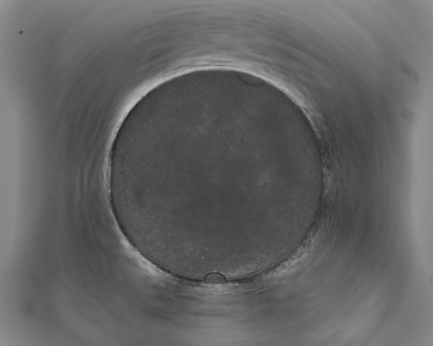 X0000110961527200907101317