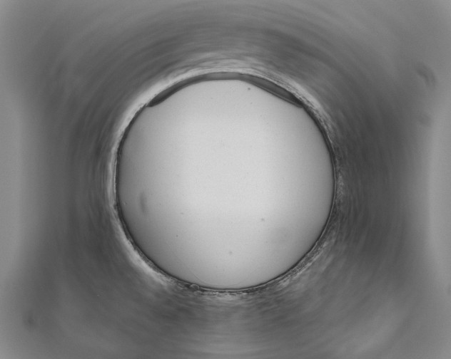 X0000110961528200907101317