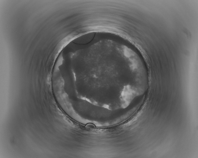 X0000110961529200907101317