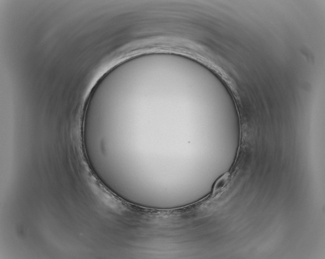 X0000110961530200907101317